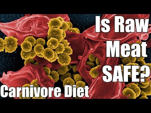 Bacteria and Parasites in Raw Meat