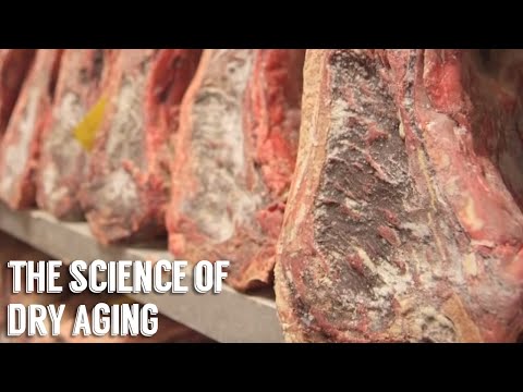 &quot;Science of Dry Aging&quot; by George Motz