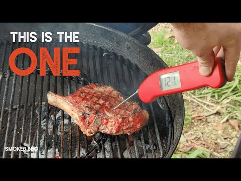 Thermapen ONE Thermometer Review