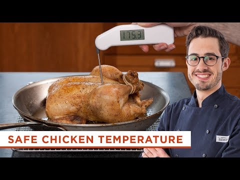 What is the Safe Temperature to Cook Chicken to?