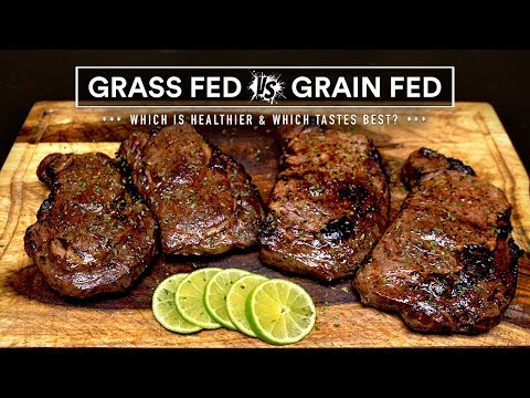 GRASS-FED vs GRAIN-FED steak experiment which is best?