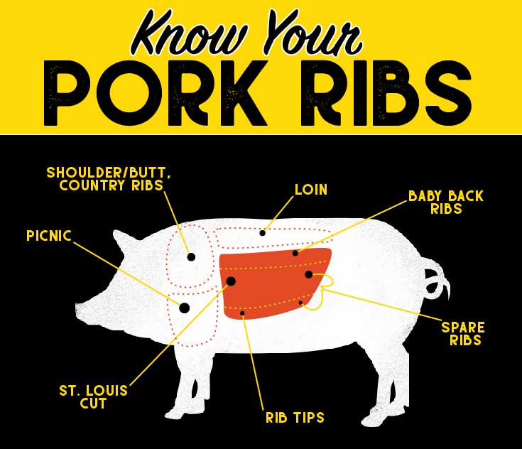 Diagram of pig showing main different cuts of pork rib