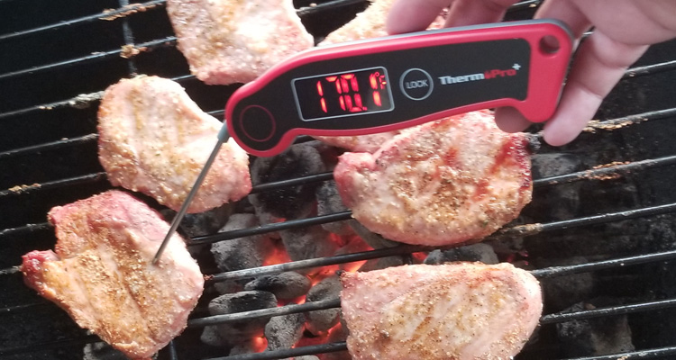 Thermometer testing chicken internal temperature