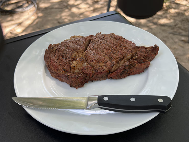 Amazon Basics steak knife on a white plate with a piece of steak