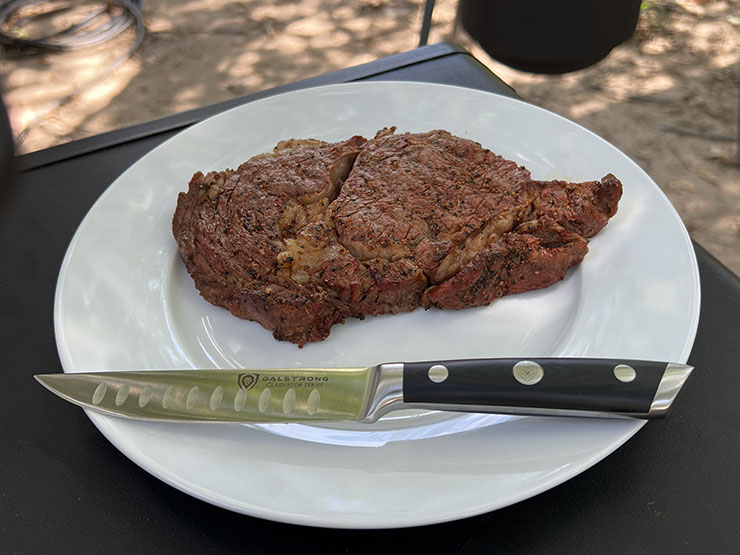 Dalstrong steak knife on a white plate with a piece of steak