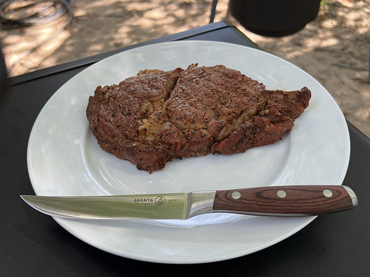 Messermeister Avanta steak knife on a white plate with a piece of steak