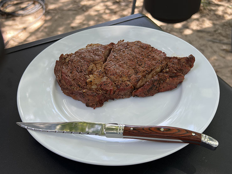Trudeau Laguiole steak knife on a white plate with a piece of steak