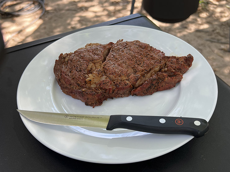 Wusthof Gourmet Steak Knife on a plate