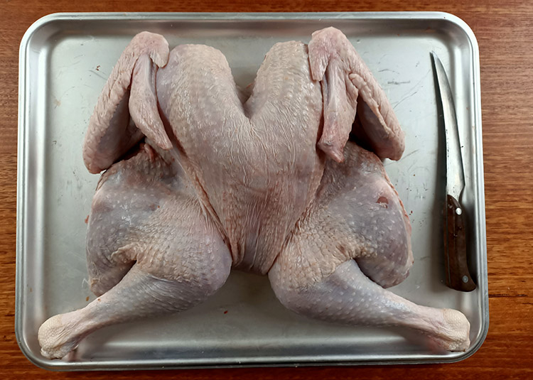 uncooked spatchcock turkey