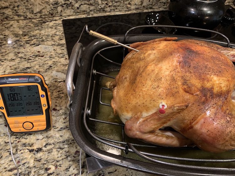 cooked turkey with ThermoPro TP27 temperature probe