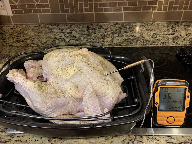 raw turkey with ThermoPro TP27 temperature probe