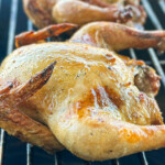Cornish Game Hen