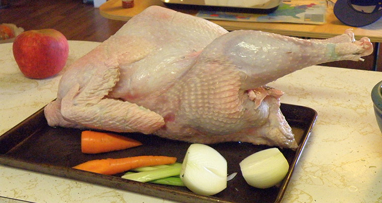 uncooked heritage turkey on a metal tray with raw carrots and onions