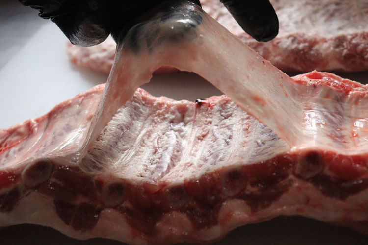 gloved hand holding membrane attached to back of pork rib