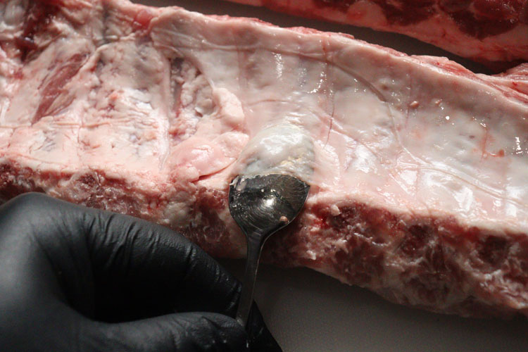 back of raw ribs with teaspoon inserted under membrane