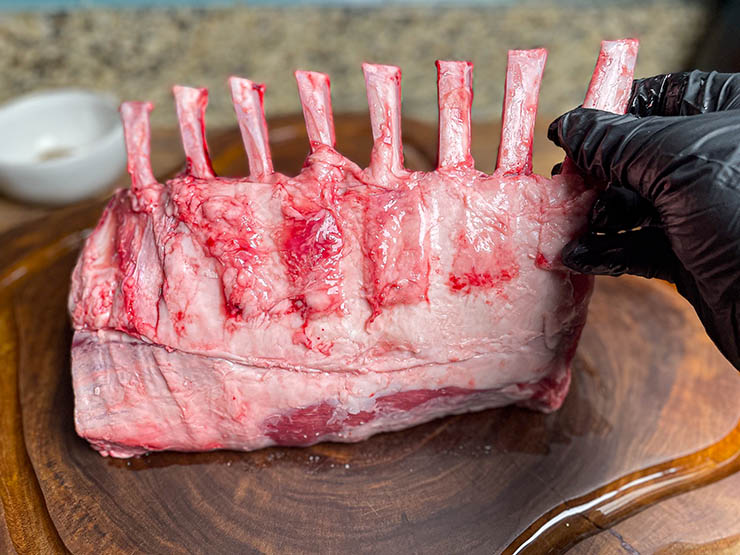a gloved hand holding an uncooked rack of lamb