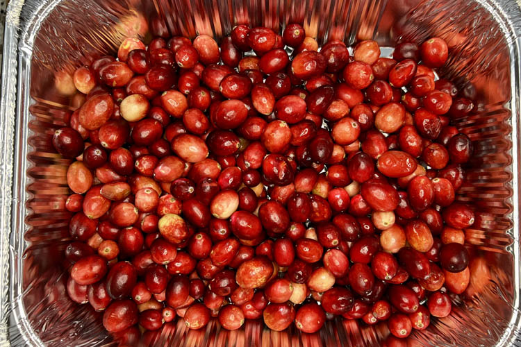 cranberries in an aluminum tray