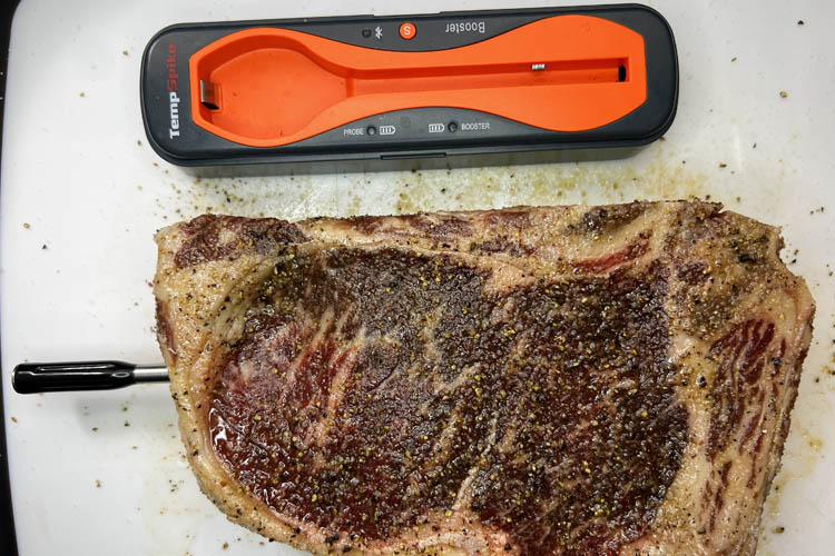 Steak with probe, and probe case on white board