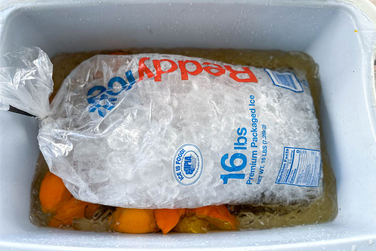 bag of ice sitting on turkey in cooler