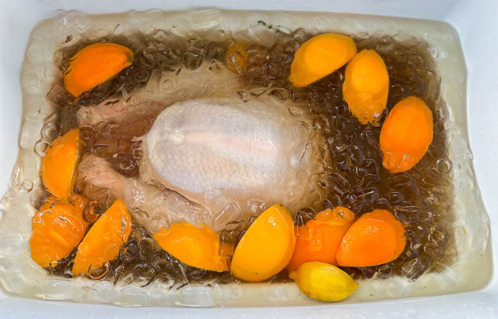 turkey submerged in brine