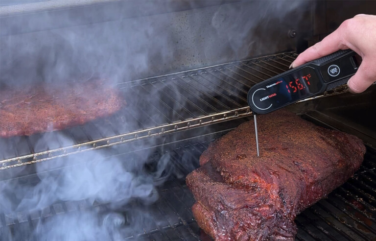 ThermoPro Lightning Review: Does It Live Up to the Hype?