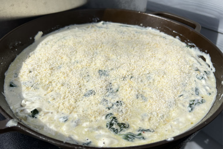 smoked spinich dip with grated parm on top