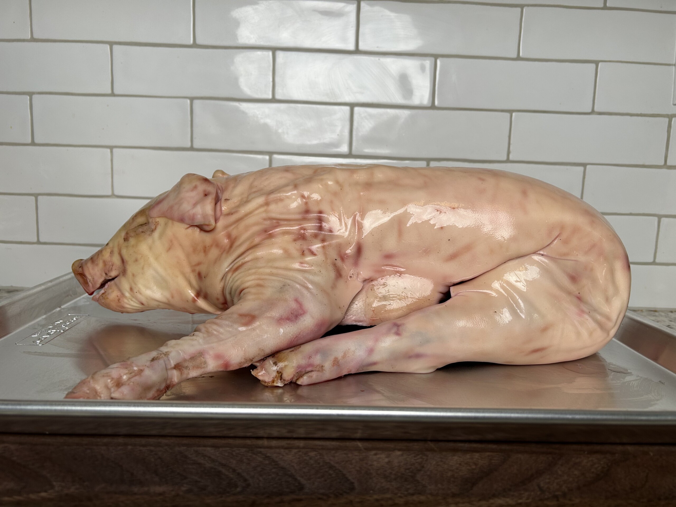raw suckling pig on a metal tray