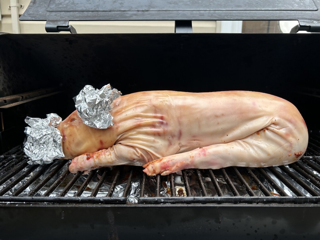 raw suckling pig on the smoker with foil on its ears and snout.