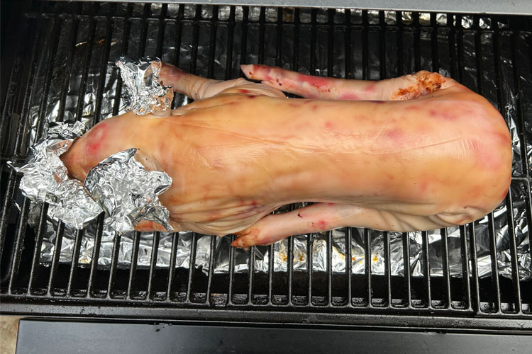 looking down on a suckling pig on the grill