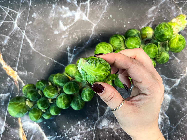 a hand holding a brussels sprout